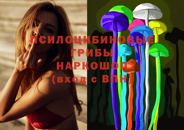 амфетамин Алексеевка