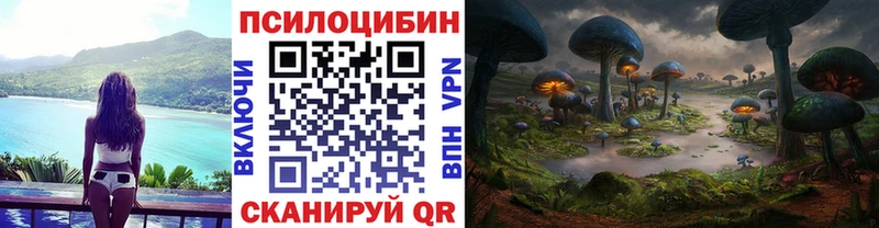 Купить  Солигалич  Псилоцибиновые грибы Psilocybine cubensis 
